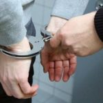 В Москве задержали подозреваемого в убийстве пенсионерки в парке Царицыно