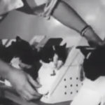 Единственной кошке-космонавту планируется поставить бронзовый памятник во Франции