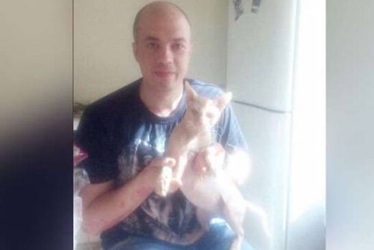 Ухтинцу, убившему кота в стиральной машине, пожелали «сгореть в аду»