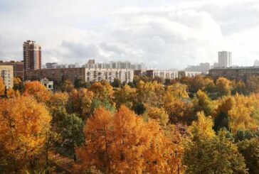 Теплая и ветреная погода ожидается в Москве во вторник