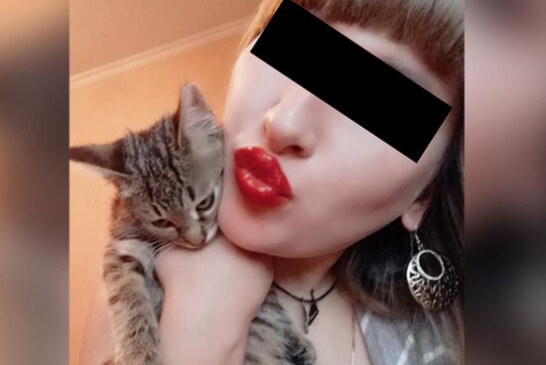 «Она грозилась всех убить»: зоозащитник рассказал о хозяйке изувеченного котенка