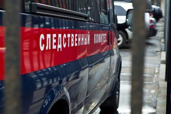 В Воронежской области задержали пару, пытавшуюся продать новорожденную дочь
