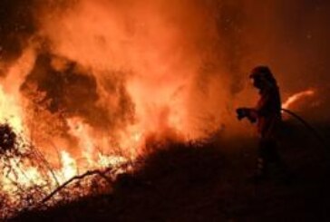 Лесные пожары в Испании и Португалии унесли десятки жизней