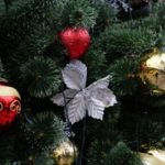Главную новогоднюю елку страны срубят 15 декабря