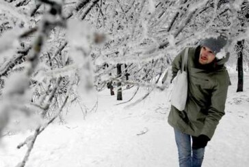 В Пензенской области введен режим повышенной готовности из-за непогоды