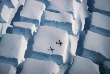 Лучшие фотографии природы: ледник, пингвины и оливковое масло