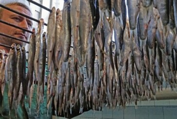 Калининградские власти намерены продлить поддержку рыболовецкой отрасли