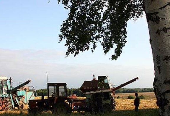 Сельскому хозяйству дали установку на рост