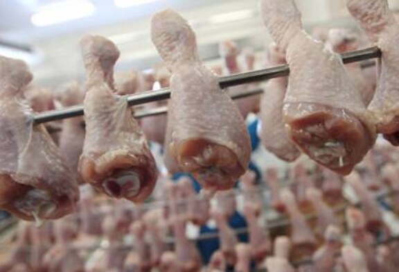 Минск запретил ввоз мяса птицы и субпродуктов из Костромской области