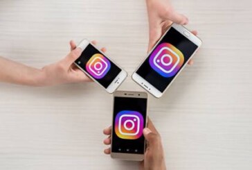 Instagram разблокировал аккаунт Ботанического сада МГУ
