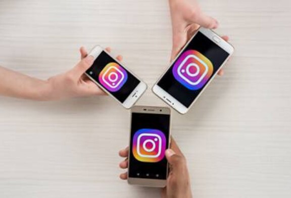 Instagram разблокировал аккаунт Ботанического сада МГУ