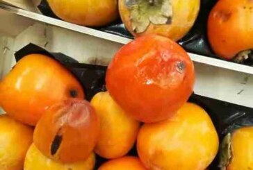 Неладно что-то в ашанском королевстве: как дурят головы покупателям
