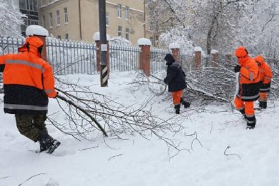 Самый сильный снегопад столетия: Собянин сообщил о погибшем и пострадавших
