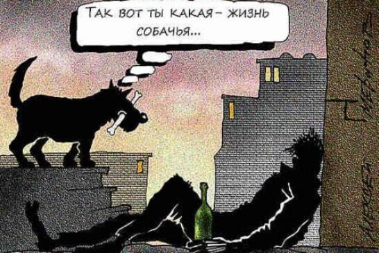 Россиян отучат от пьянства страшными этикетками