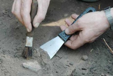 Археологи нашли шахматы XIV-XV веков при раскопках под Новгородом