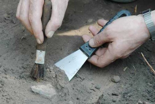 Археологи нашли шахматы XIV-XV веков при раскопках под Новгородом