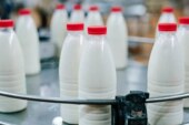 Россия запретила ввоз из Белоруссии молока и сливок для переработки