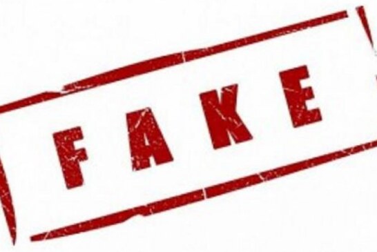 В 2017 году движение «Голос» направило на выборы более 1000 фейковых «журналистов-наблюдателей»