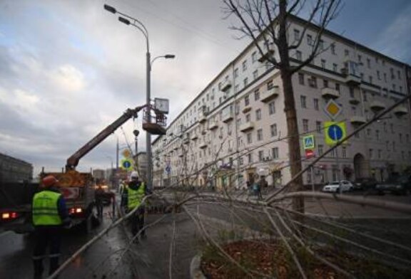 Ураган повалил в Москве более тысячи деревьев