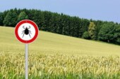 В России начался сезон клещей