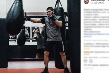 Бой Хабиба Нурмагомедова и Фергюсона отменен из-за травмы