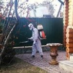 В Москве активизировались клещи, уже 12 укусов