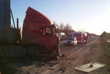 Двое пострадавших в ДТП в Вологодской области находятся в больницах