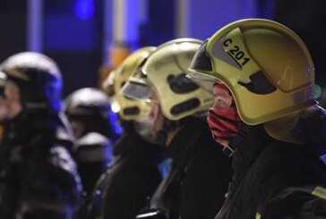 В Приморье локализовали пожар в нацпарке «Зов тигра»