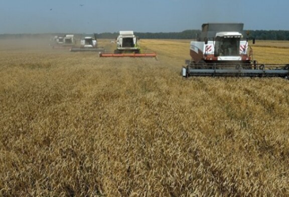 Тамбовская область в I кв произвела сельхозпродукции на 12,6 млрд рублей