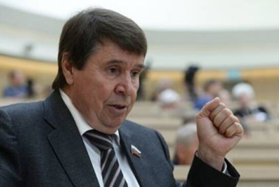 В Совфеде прокомментировали заявление об операции миротворцев в Донбассе