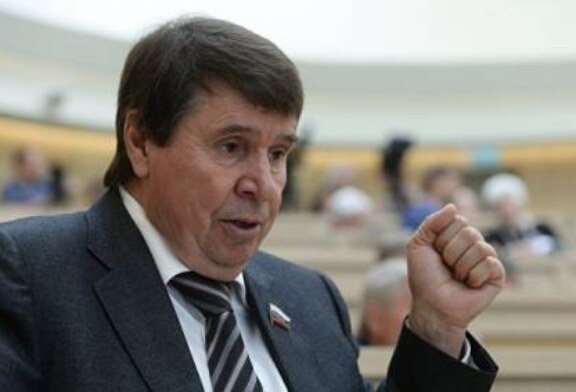 В Совфеде прокомментировали заявление об операции миротворцев в Донбассе