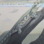 Обнаружено древнейшее четвероногое животное на планете