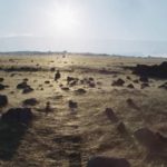 Извержение вулкана покрыло пляжи Гавайев загадочными золотыми «волосами»