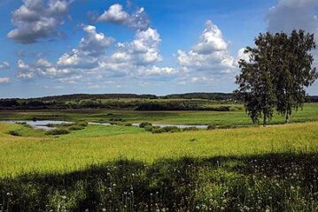 Для мусоросжигательного завода пожалели землю