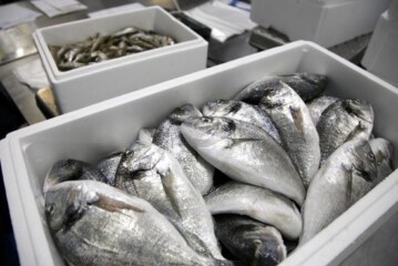 Новые требования ФСБ приведут к росту цен на рыбу