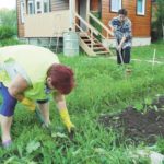 Почему МРТ иногда хуже рентгена