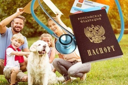 Познакомьтесь со своим страховым представителем