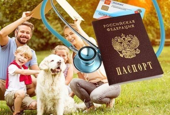 Познакомьтесь со своим страховым представителем