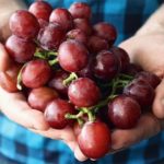 Диета может менять структуру органов и метаболизм на многие годы