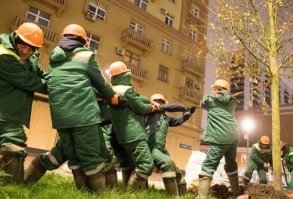 Больше 9 тыс. деревьев высадят в Москве осенью