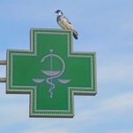 IQVIA: Большинство пациентов, имеющих право на льготные лекарства, покупает их самостоятельно