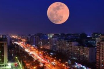 Искусственная Луна, древний лес в Антарктике и самосмазывающиеся презервативы