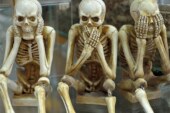 Добавки с витамином D не укрепляют кости и не снижают частоту переломов