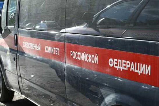 СК снял с жительницы Саратова обвинение в экстремизме за частушки о судьях