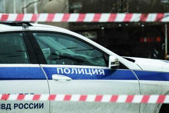 В Подмосковье обнаружили тела пяти человек