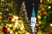 Акция по сбору и утилизации елок стартует в Москве
