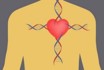 Неустойчивость доходов молодости ведет к преждевременной смерти, инфарктам, инсультам