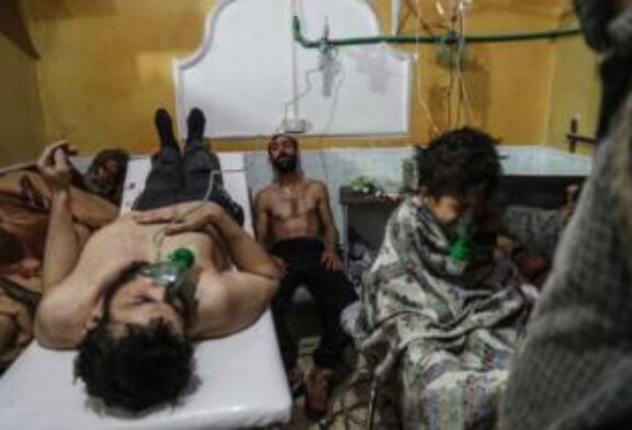Лучшие фотографии года: World Press Photo представила номинантов