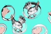 Мясо из лаборатории на наших тарелках: ближайшее будущее или мечта ученых?