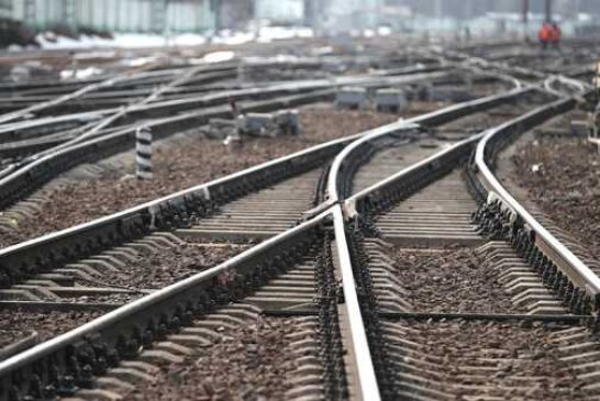 В Ленобласти возбудили уголовное дело из-за привязанной к рельсам собаки